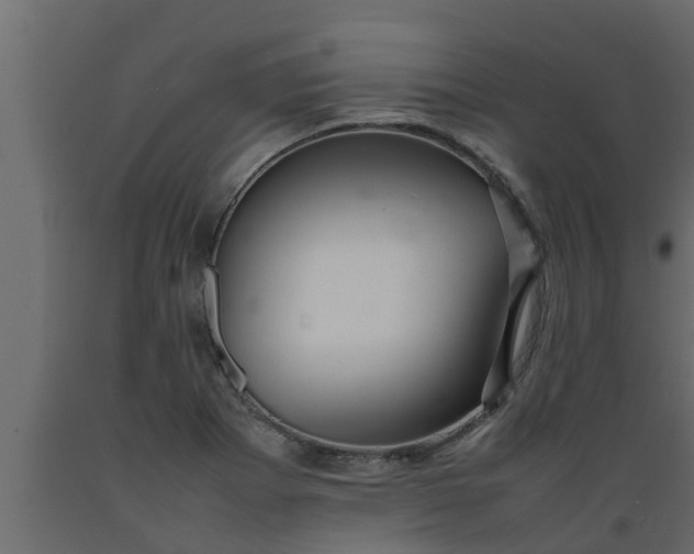 X0000089461273200707061255
