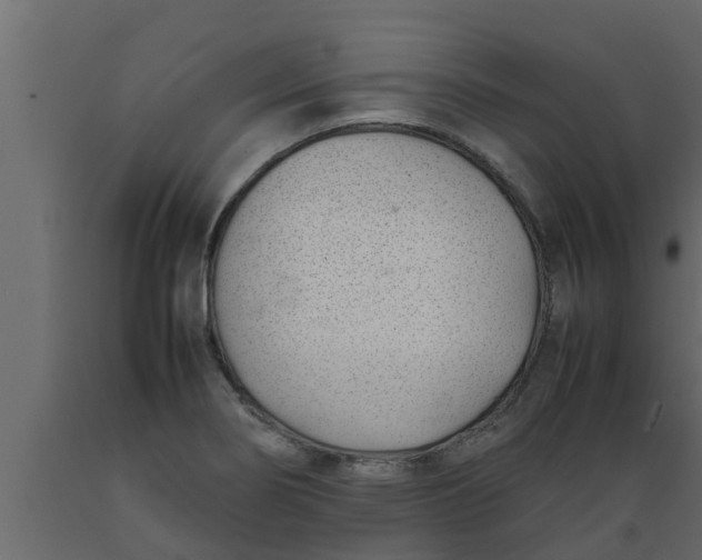 X0000089461274200707061255