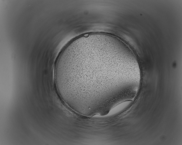 X0000089461275200707061255