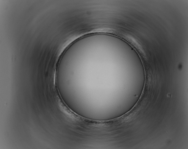 X0000089461276200707061255