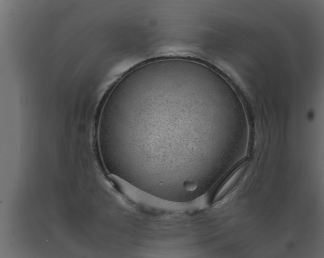 X0000089461277200707061255