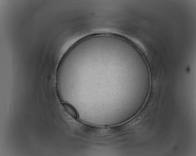X0000089461279200707061255