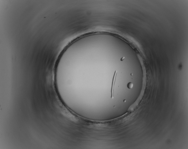 X0000089461280200707061255
