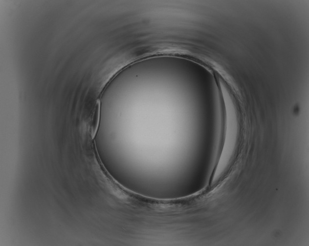 X0000089461281200707061255