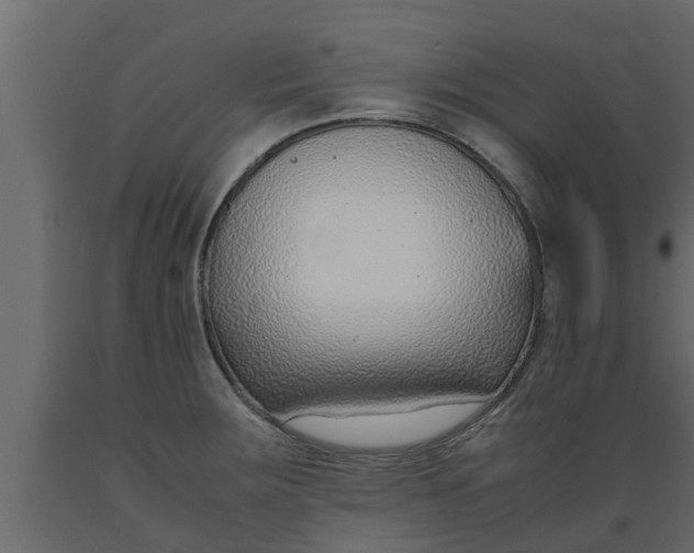 X0000089461283200707061255