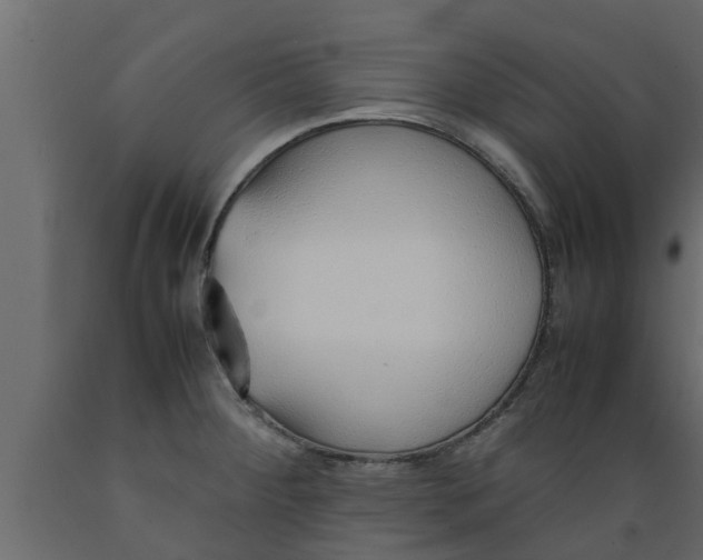 X0000089461284200707061255