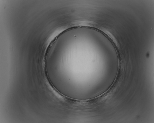 X0000089461285200707061255