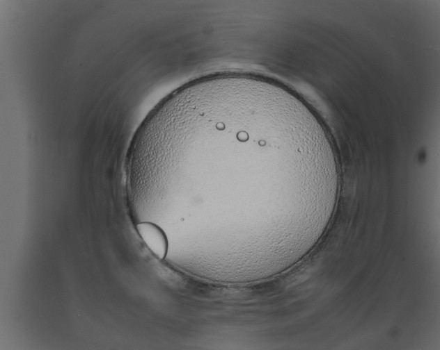 X0000089461287200707061255