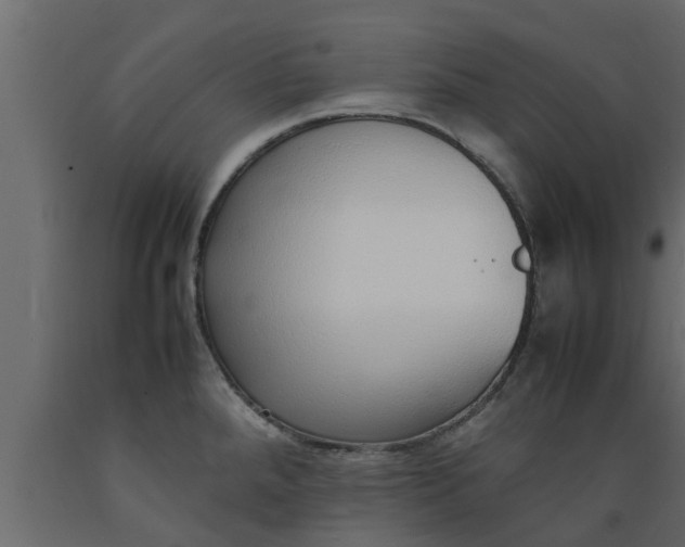 X0000089461288200707061255