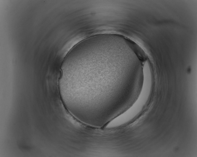 X0000089461289200707061255