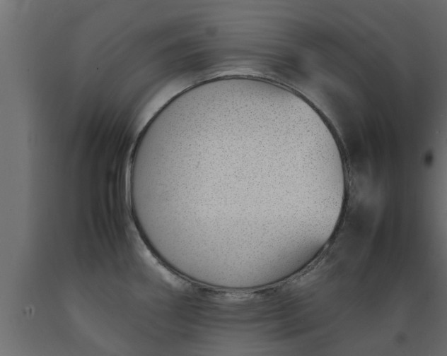X0000089461290200707061255