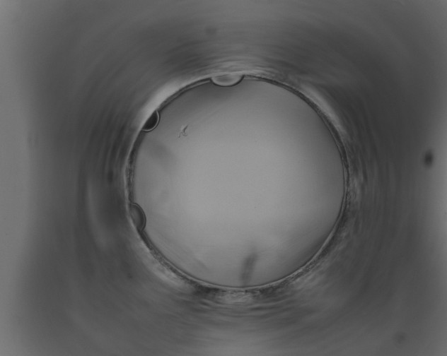 X0000089461291200707061255