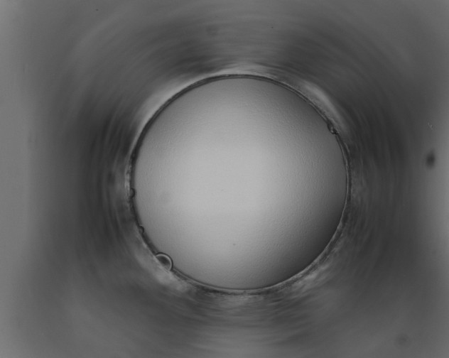 X0000089461292200707061255