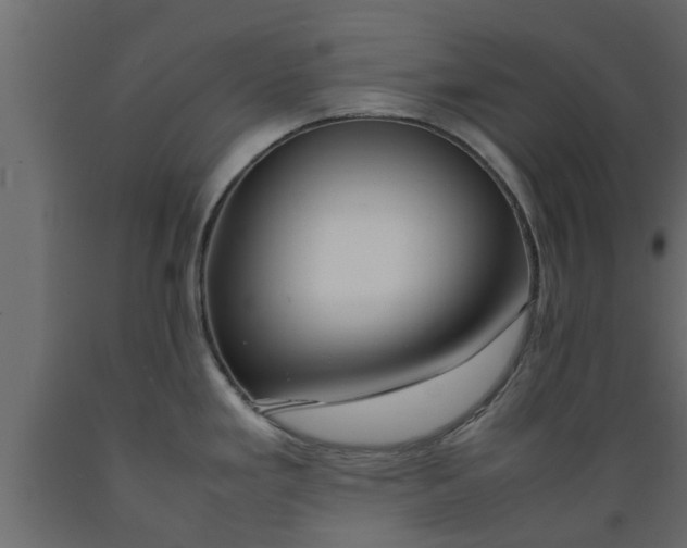 X0000089461293200707061255