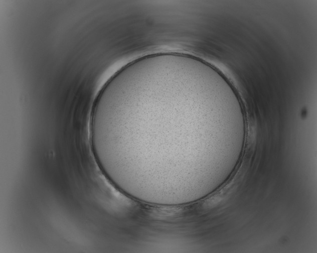 X0000089461294200707061255