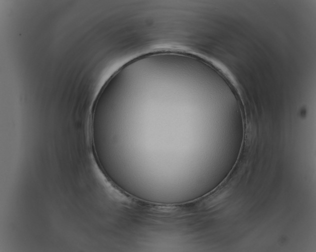 X0000089461295200707061255