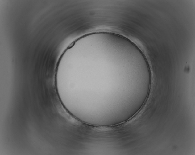 X0000089461296200707061255