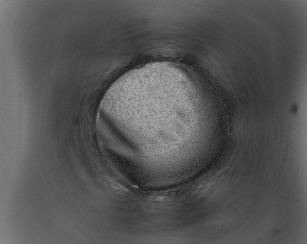 X0000089461297200707061254