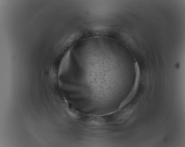 X0000089461298200707061254