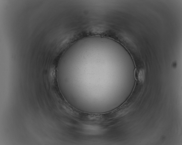 X0000089461299200707061254