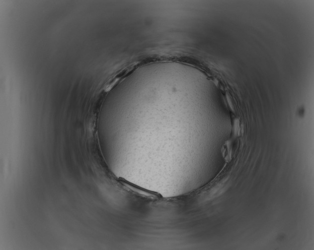 X0000089461300200707061254