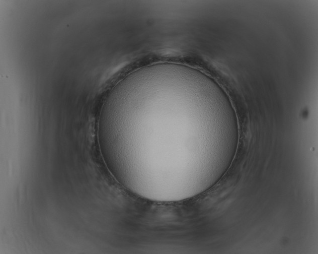 X0000089461301200707061254