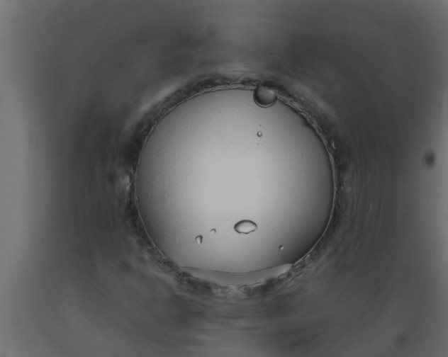 X0000089461302200707061254