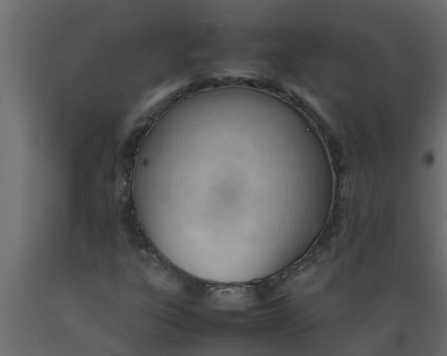 X0000089461303200707061254
