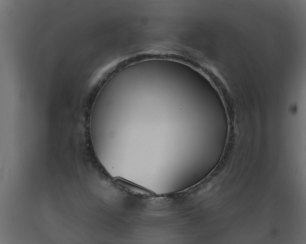 X0000089461304200707061254