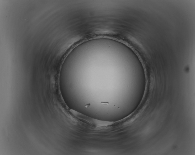 X0000089461305200707061255