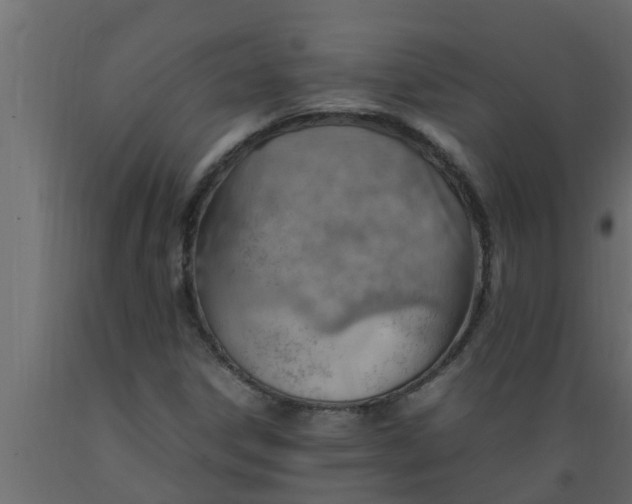 X0000089461306200707061255
