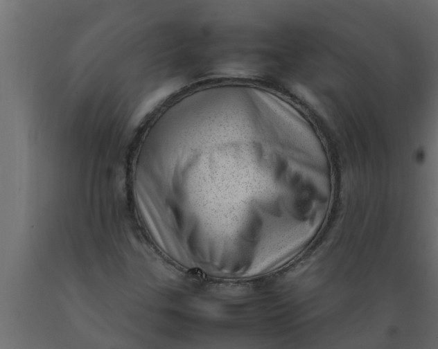 X0000089461307200707061255