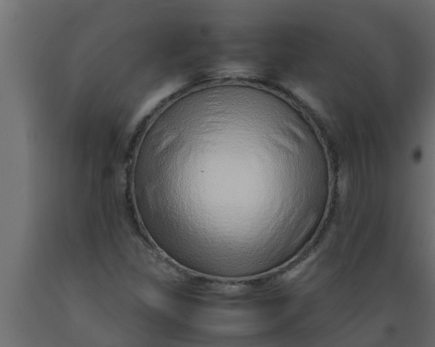 X0000089461309200707061255