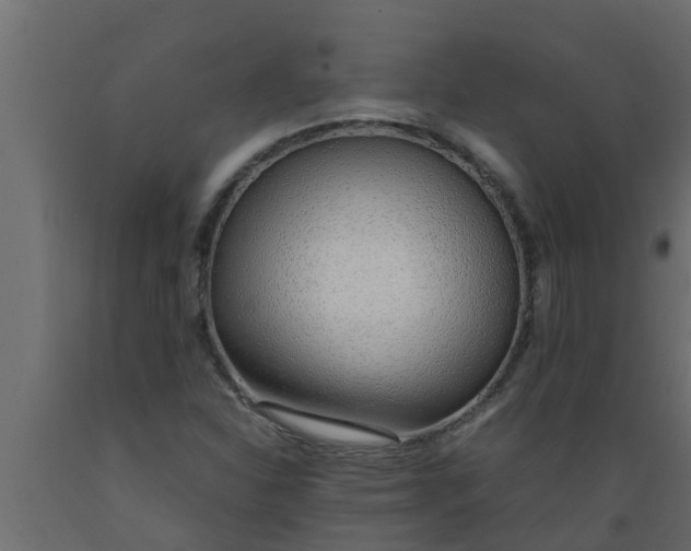 X0000089461310200707061255