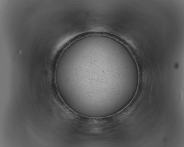 X0000089461311200707061255