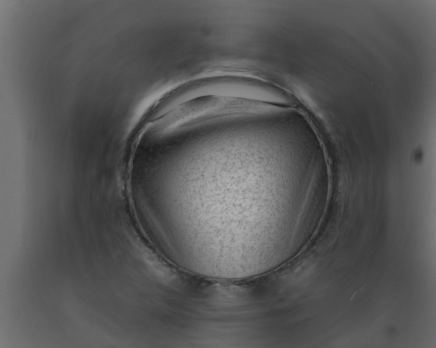 X0000089461312200707061255