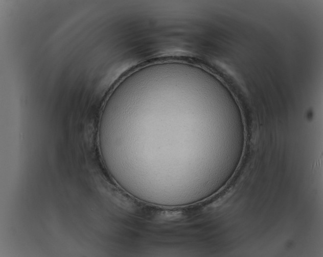 X0000089461313200707061255