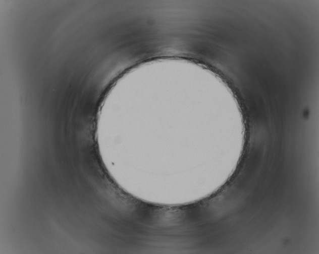 X0000089461314200707061255