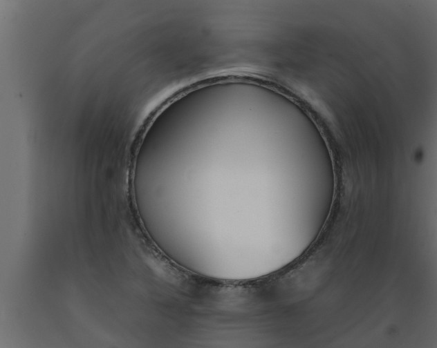 X0000089461316200707061255