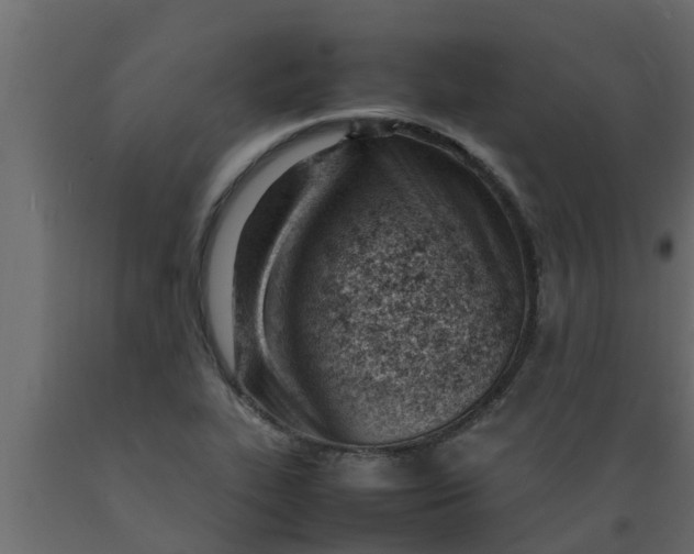 X0000089461319200707061255