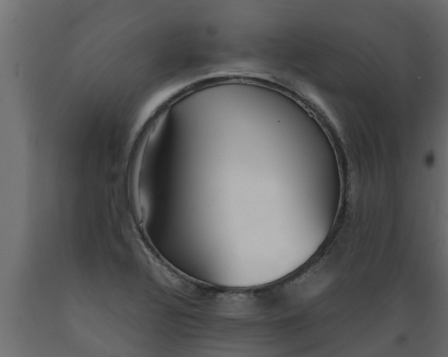 X0000089461320200707061255
