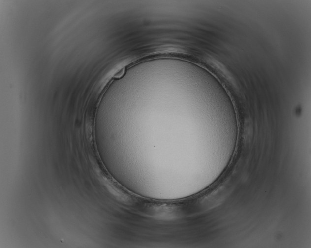 X0000089461321200707061255