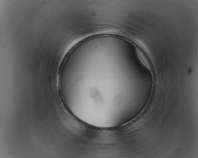 X0000089461324200707061255