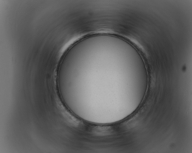X0000089461325200707061255