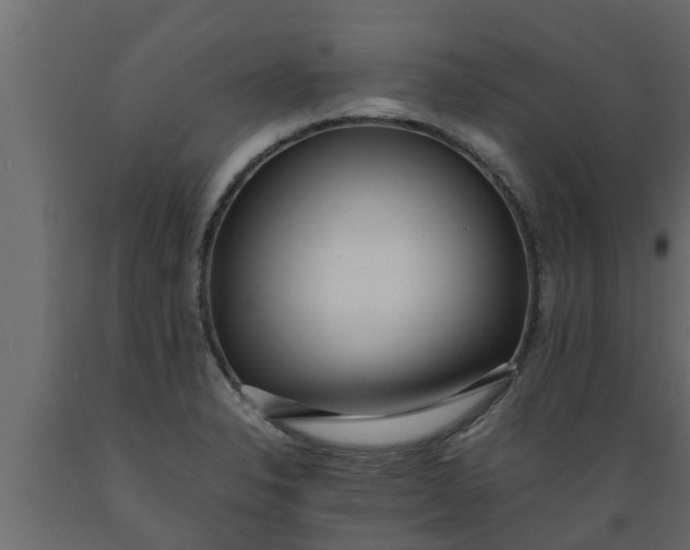X0000089461326200707061255