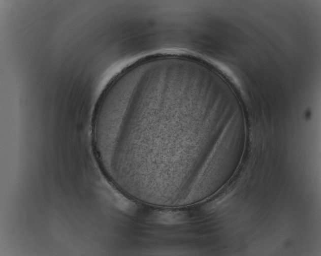 X0000089461327200707061255