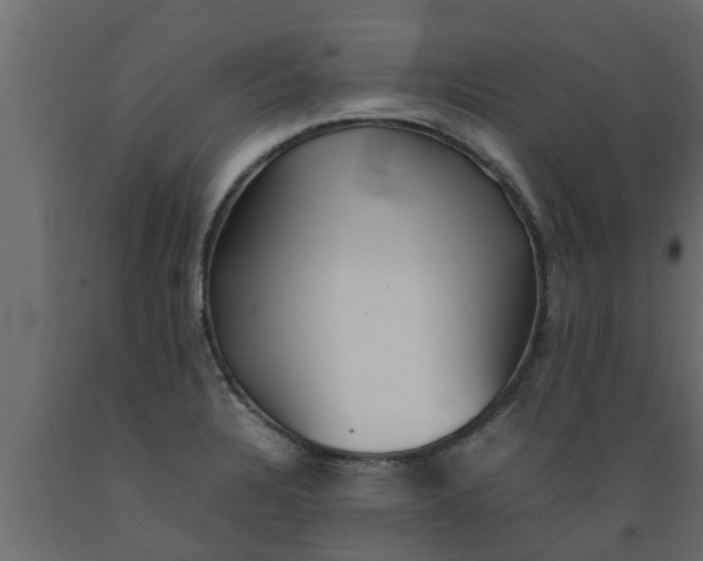 X0000089461328200707061255
