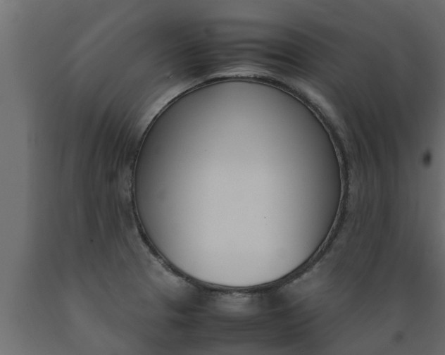 X0000089461329200707061255
