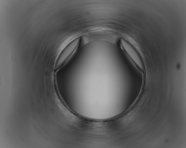 X0000089461330200707061255