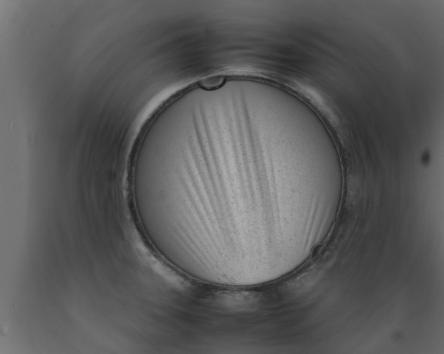 X0000089461331200707061255